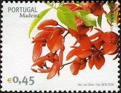 Colnect-546-324-Madeira-Flowers-Madeira-cherry-Solanum-pseudocapsicum.jpg