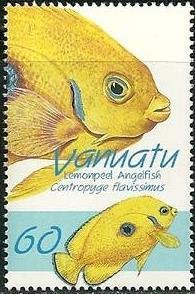 Colnect-1239-774-Lemonpeel-Angelfish-Centropyge-flavissimus.jpg