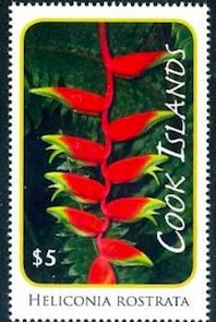 Colnect-4070-102-Heliconia-rostrata.jpg