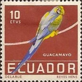 Colnect-489-050-Blue-and-yellow-Macaw-Ara-ararauna.jpg