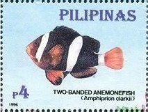 Colnect-3001-743-Two-banded-Anemonefish-Amphiprion-clarkii.jpg