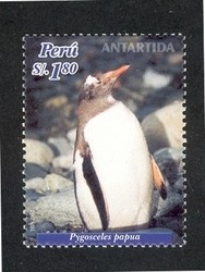 Colnect-1557-445-Gentoo-Penguin-Pygoscelis-papua.jpg