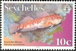 Colnect-1704-990-Seychelles-Blenny-Stanulus-seychellensis-.jpg