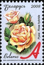 Colnect-430-443-Gardens-Flowers---Rose.jpg