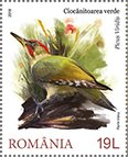 Colnect-5204-330-European-Green-Woodpecker-Picus-viridis.jpg