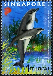 Colnect-609-917-Indo-Pacific-Bottlenose%C2%A0Dolphin-Tursiops-aduncus-.jpg