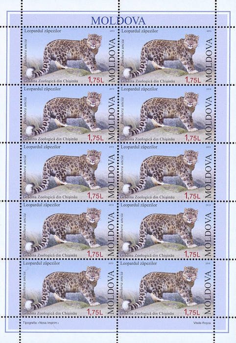 Colnect-1602-817-Snow-Leopard-Panthera-uncia.jpg