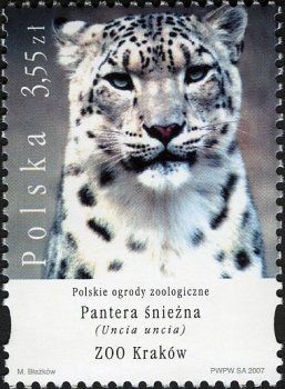 Colnect-3065-307-Snow-Leopard-Panthera-uncia.jpg