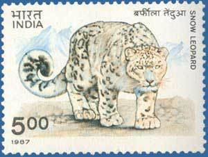 Colnect-559-508-Snow-Leopard-Panthera-uncia.jpg