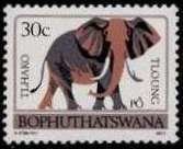 Colnect-1108-635-African-Elephant-Loxodonta-africana.jpg