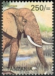 Colnect-1683-614-African-Elephant-Loxodonta-africana.jpg