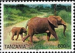 Colnect-1683-625-African-Elephant-Loxodonta-africana.jpg