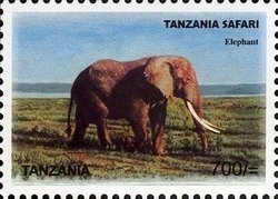 Colnect-1683-649-African-Elephant-Loxodonta-africana.jpg