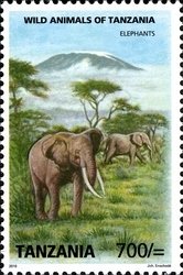 Colnect-1692-775-African-Elephant-Loxodonta-africana.jpg