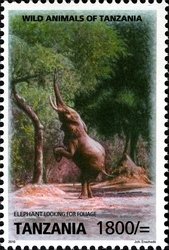 Colnect-1692-778-African-Elephant-Loxodonta-africana.jpg