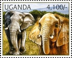 Colnect-1716-931-African-Elephant-Loxodonta-africana.jpg