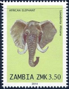 Colnect-2448-611-African-Elephant-Loxodonta-africana.jpg