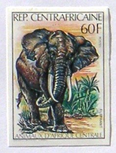 Colnect-553-733-African-Elephant-Loxodonta-africana.jpg