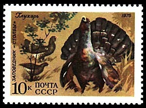 Colnect-1061-689-Western-Capercaillie-Tetrao-urogallus.jpg