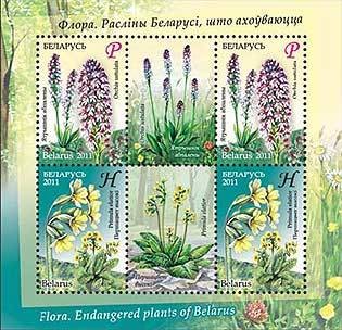 Colnect-1064-069-Endangered-plants-of-Belarus.jpg