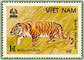 Colnect-1160-418-Tiger-Panthera-tigris.jpg