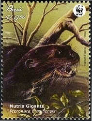 Colnect-1557-509-Giant-Otter-Pteronura-brasiliensis.jpg
