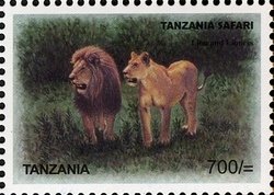 Colnect-1691-309-Lion-Panthera-leo---Male-and-Female.jpg