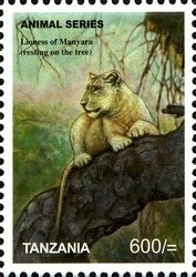 Colnect-1692-514-Lion-Panthera-leo-Female-of-Manyara.jpg