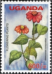 Colnect-1716-531-Asteraceae-Compositae.jpg