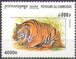 Colnect-1729-128-Tiger-Panthera-tigris.jpg