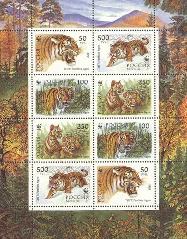 Colnect-190-698-Siberian-Tiger-Panthera-tigris-altaica.jpg