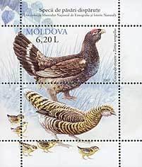 Colnect-191-911-Western-Capercaillie-Tetrao-urogallus.jpg