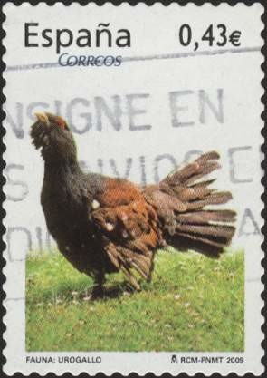 Colnect-2328-511-Western-Capercaillie-Tetrao-urogallus.jpg
