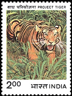 Colnect-2524-307-Tiger-Panthera-tigris.jpg