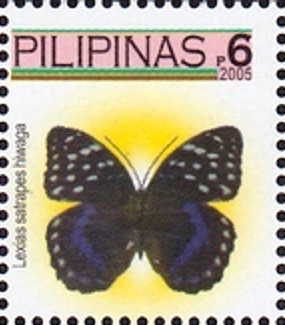 Colnect-2890-411-Archduke-Butterfly-Lexias-satrapes-hiwaga.jpg