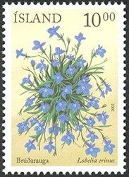 Colnect-439-630-Flowers--Lobelia-erinus.jpg