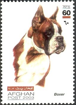 Colnect-543-723-German-Boxer-Canis-lupus-familiaris.jpg