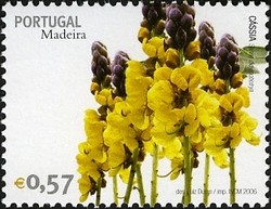Colnect-546-317-Madeira-Flowers-Cassia-Senna-corymbosa.jpg