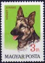 Colnect-590-932-German-Shepherd-Canis-lupus-familiaris.jpg