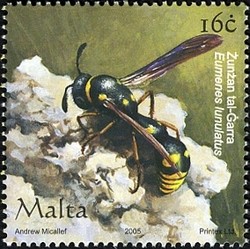 Colnect-657-593-Common-Potter-Wasp-Eumenes-lunulatus.jpg