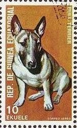 Colnect-865-236-Bull-Terrier-Canis-lupus-familiaris.jpg