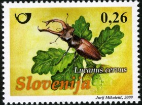Colnect-611-609-FAUNA---beetles---Lucanus-cervus-Linnaeus.jpg