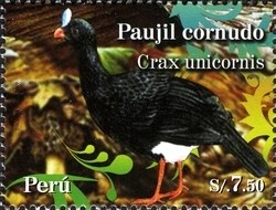 Colnect-1594-944-Southern-Helmeted-Curassow-Crax-unicornis.jpg