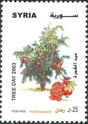 Colnect-1428-698-Tree-Day---Pomegranate.jpg