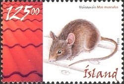 Colnect-1473-382-House-Mouse-Mus-musculus.jpg