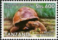 Colnect-1690-968-Aldabra-Giant-Tortoise-Geochelone-gigantea-at-Changuu-Isla.jpg