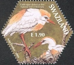 Colnect-1696-576-Cattle-Egret-Bubulcus-ibis.jpg