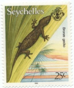 Colnect-1845-374-Seychelles-Bronze-Gecko-Ailuronyx-seychellensis.jpg