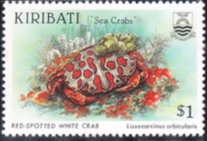 Colnect-2537-077-Red-spotted-white-crab-Lissocarcinus-orbicularis.jpg