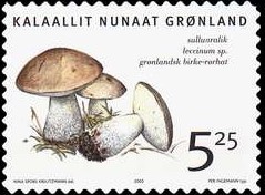 Colnect-519-460-Edible-fungi-in-Greenland.jpg
